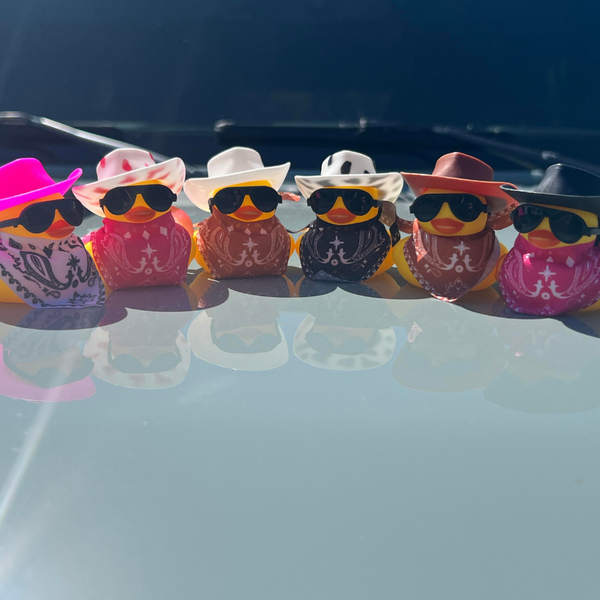 ducks-for-ducking-cowgirl-cowboy-jeep-world