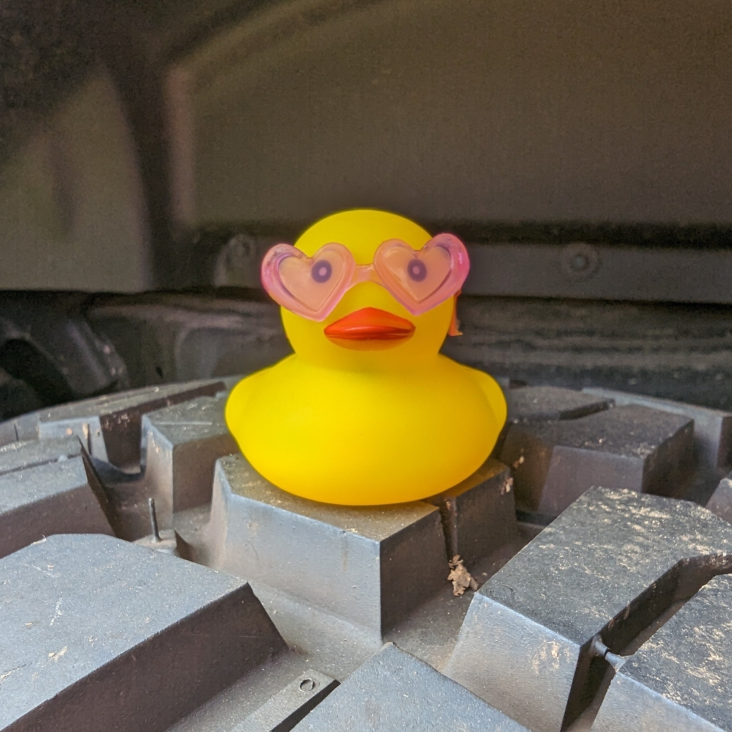 Jeep Ducks for Ducking (Heart Glasses) – Jeep World