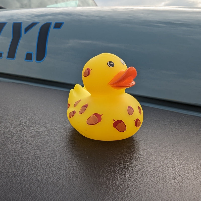 Where to Buy Jeep Ducks: Top Shops & Online Deals