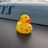 Jeep Ducks for Ducking (Fall Y'all 4-Pack)