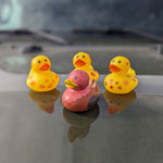 Jeep Ducks for Ducking (Fall Y'all 4-Pack)