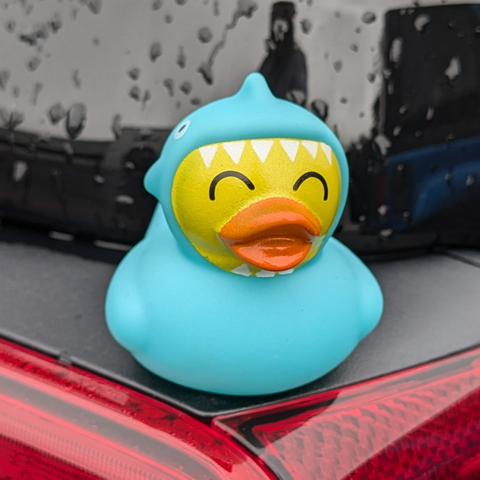 Ducks for Ducking (Shark Attack) – Jeep World