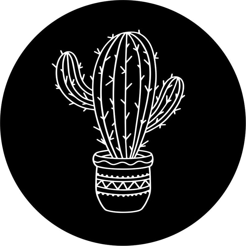 Cactus In A Pot