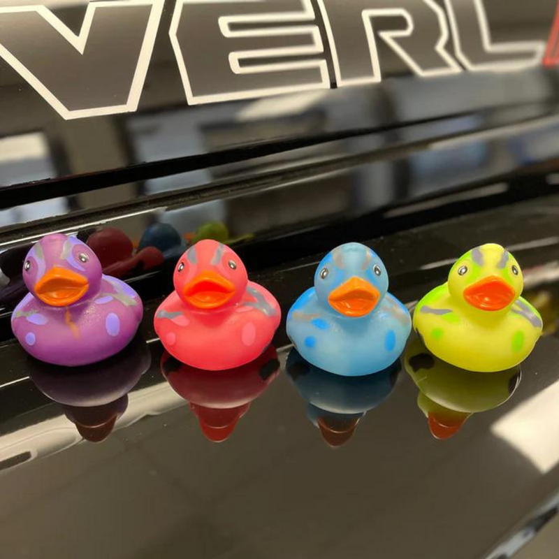 Jeep Ducks for Ducking (Camouflage)