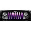"Ladies Night Purple & Pink Glitter Storm" Grille Insert by Dirty Acres