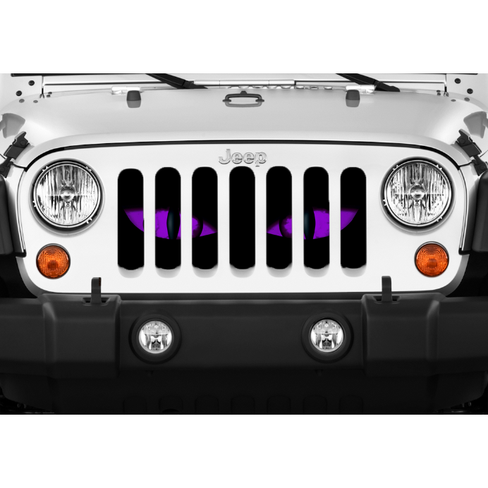 "Chaos Purple Eyes" Grille Insert From Dirty Acres