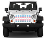 "Trans Pride Flag" Grille Insert by Dirty Acres