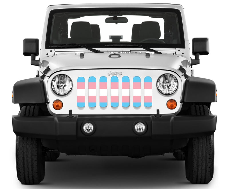 "Trans Pride Flag" Grille Insert by Dirty Acres