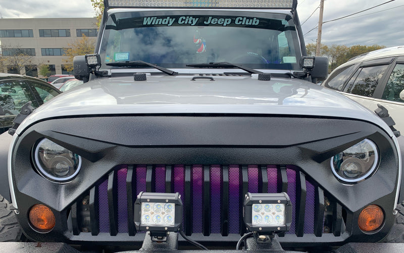 "Ladies Night Purple & Pink Glitter Storm" Grille Insert by Dirty Acres